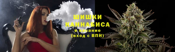 кокс Щучье