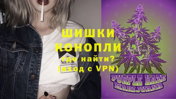 кокс Щучье