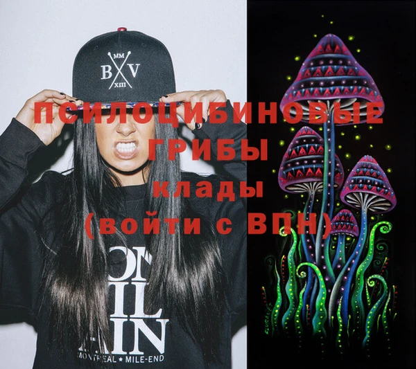 кокс Щучье