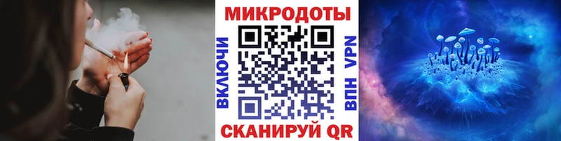 Купить  Бирюч  Псилоцибиновые грибы мицелий 